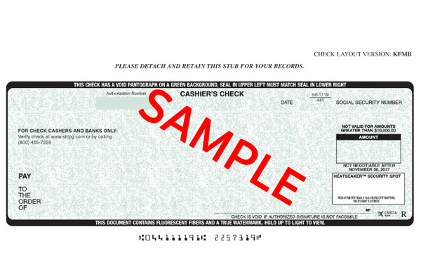 printing-checks-from-tpg-website-part-1-santa-barbara-tax-products